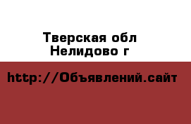  . Тверская обл.,Нелидово г.